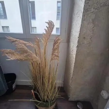 Διαμέρισμα T3 Centre - 2 Ch - Maison Carree *